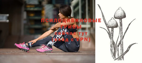 тгк Надым
