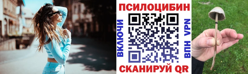Галлюциногенные грибы MAGIC MUSHROOMS  Нерчинск 