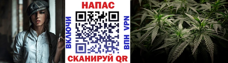 мега ссылка  Нерчинск  Канабис семена 